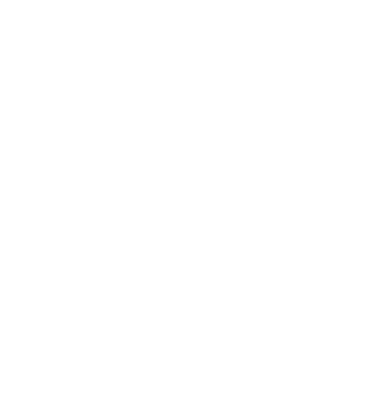 Stadsrevisionen